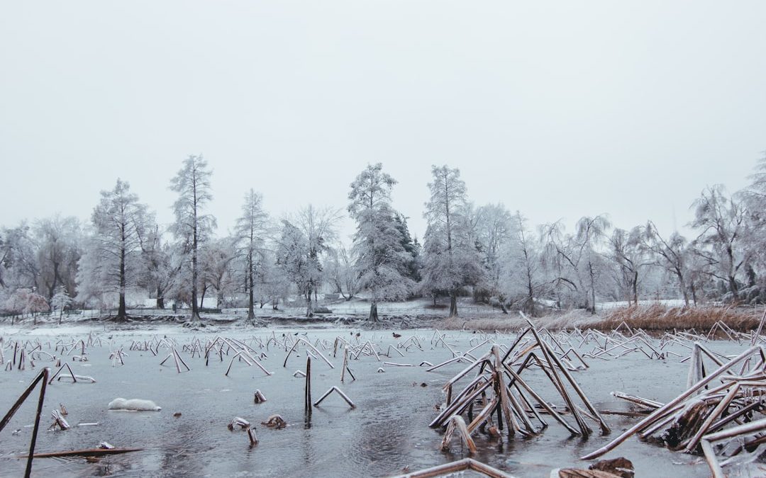 Contenu sur les catastrophes naturelles : prévention et information 2026