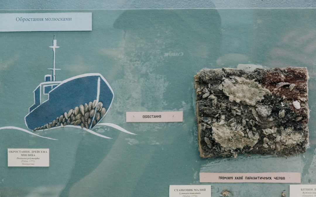 Tectonique des plaques : mécanismes et mouvements de la lithosphère